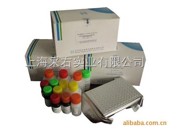 上海采右實(shí)業(yè)YS02445B-兔子白介素8(IL-8/CXCL8)Elisa試劑盒產(chǎn)品詳解