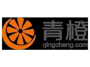 上海青橙實業與上海實業 探究企業名稱背后的戰略定位與市場角色