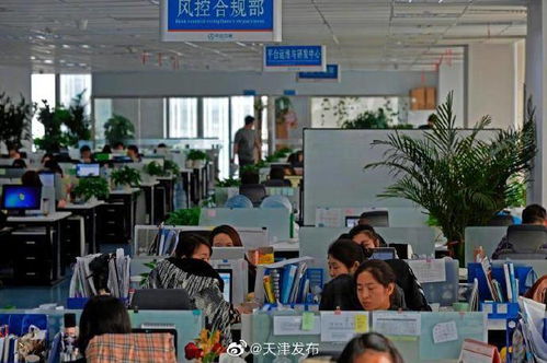 中企云鏈 以創(chuàng)新金融科技服務安心扎根，以信息技術咨詢服務舒心發(fā)展